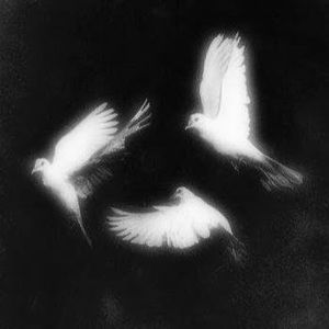 Meet your Posher, Richie